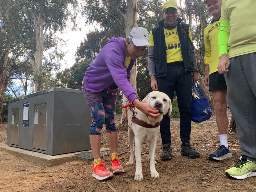 runners with dog