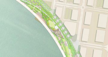 Ngunnawal-inspired public art plan to be developed for Acton Waterfront Park