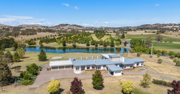 Equine-focused Capricorn Park homestead offers country club living on Canberra's doorstep