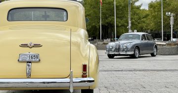 There's about to be a lot more historic vehicles on Canberra's roads