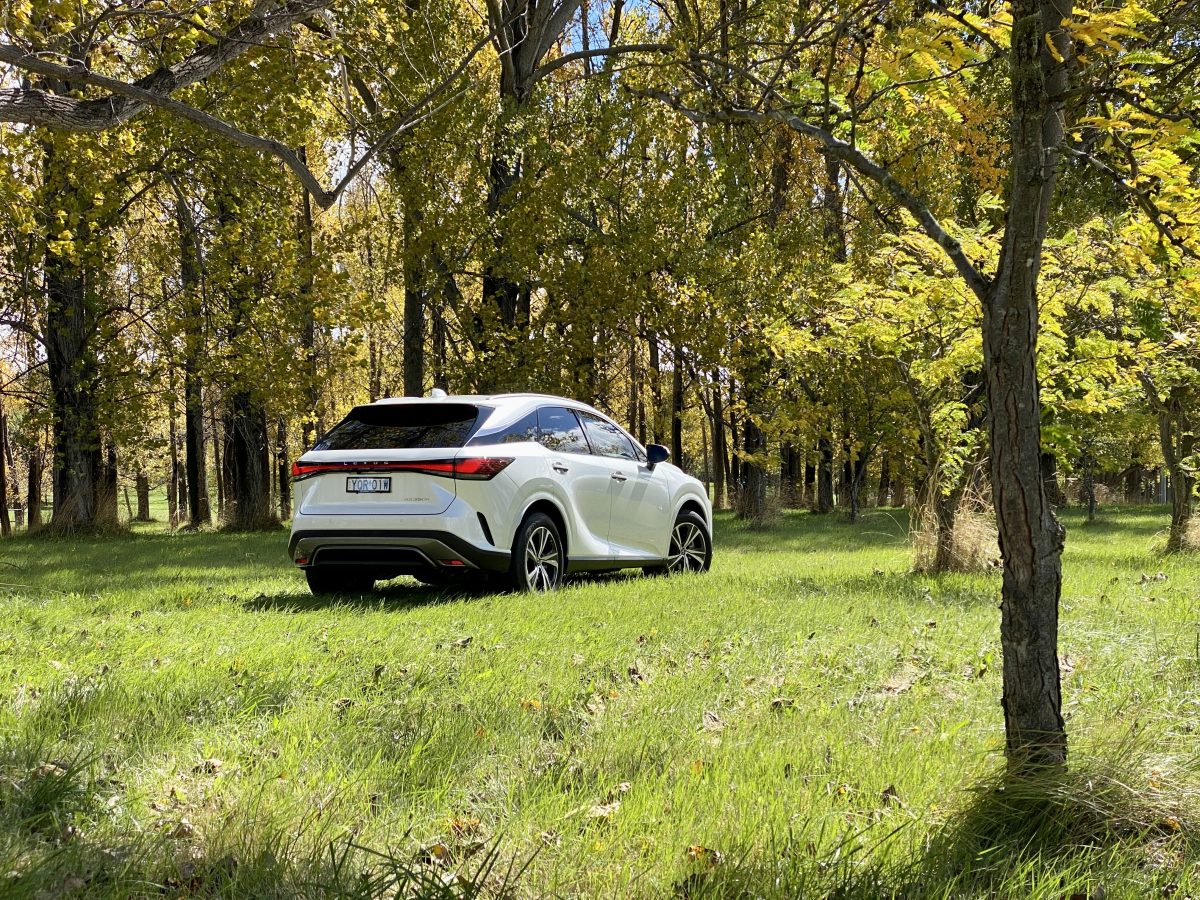 2023 Lexus RX 350h