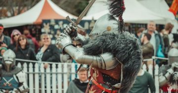 Here be dragons! Queanbeyan to go medieval for inaugural fair this September