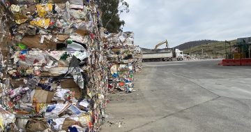 ACT Budget: $26 million to replace Hume recycling facility, FOGO pilot to expand in Belconnen