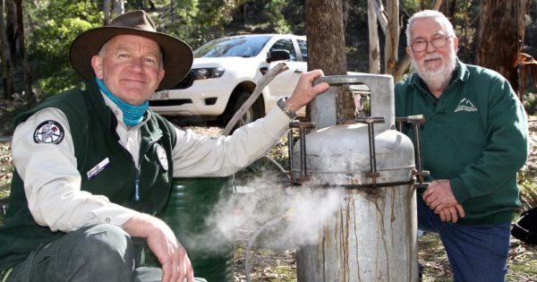 Go back in time to when distilling eucalyptus oil was one of Canberra's best-paying jobs