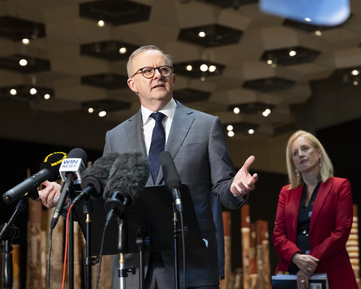 Anthony Albanese at a press conference