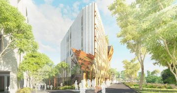 As densification is unavoidable, government needs to start planning for its first vertical school