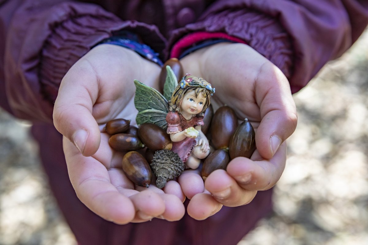 Hands holding plant seeds and a small fairy ornament