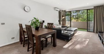 'Bigger than most': over-sized three-bedroom Lyneham apartment makes no compromise