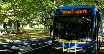 Transport Canberra bus services to be suspended for four hours on Thursday for union meeting