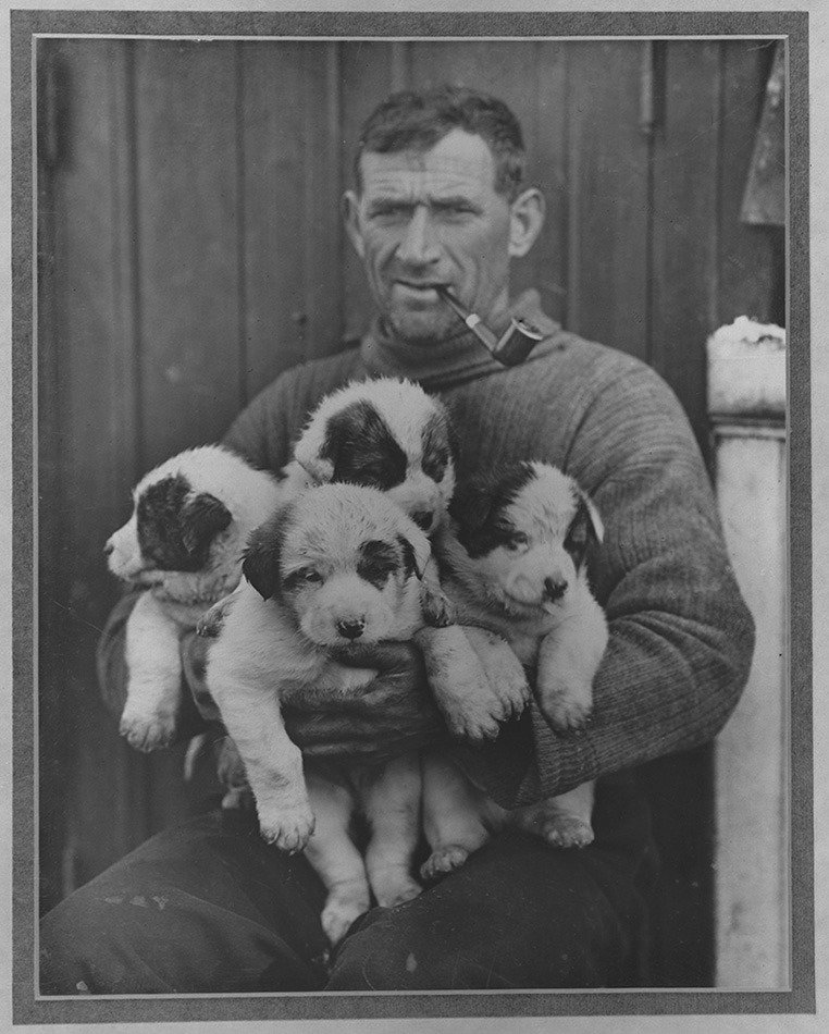 Man with armful of pups.