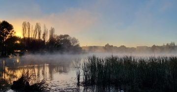 Picture this: Canberra irrigator captures the capital's beauty with just his smartphone