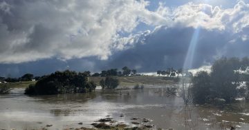 Remember when it used to rain ... more than just water over the bridge