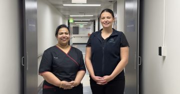 Humble heroes: Canberra Hospital nurse and midwife take top gongs at excellence awards