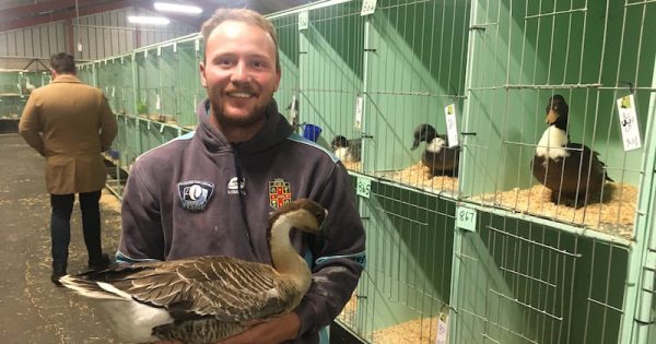 A prize-winning bird in the hand for blockbusting Jack