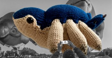 Canberra's Skywhale hot-air balloons can now get stuffed (but it's knit that easy)