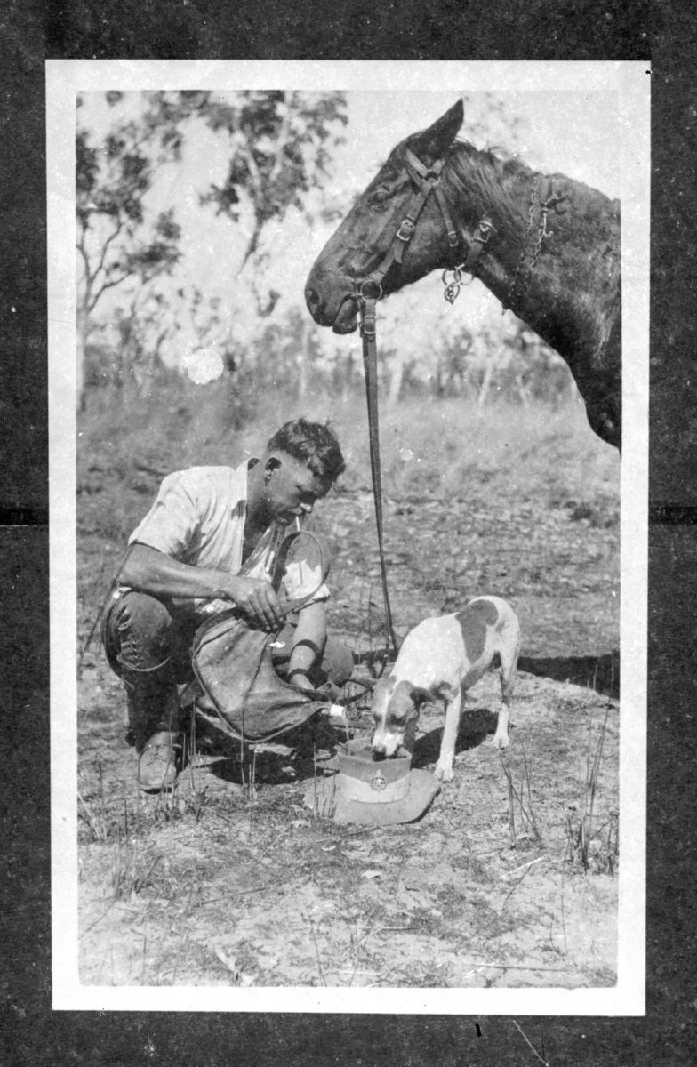 Dog drinks from bushie's hat as horse looks on