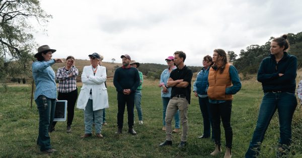 'We need to adapt and we can do it': Free ANU expert-led climate course for farmers returns