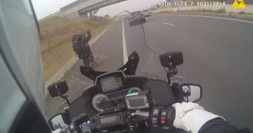 Video shows e-scooter rider driving at nearly 100 km/h on highway during police chase