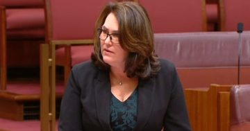 Labor senator blasts PwC over government consultancy breach