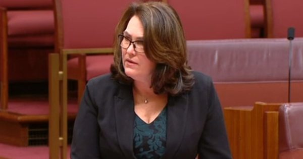 Labor senator blasts PwC over government consultancy breach