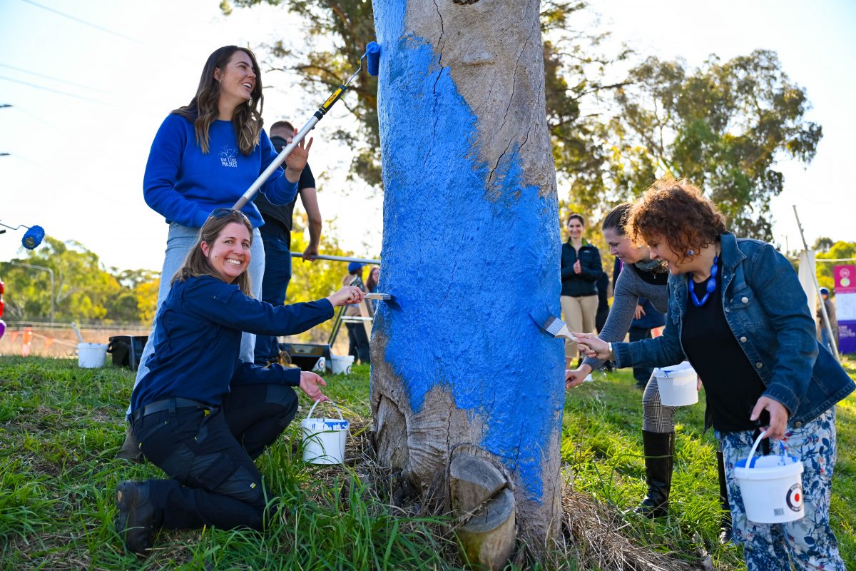 Blue trees