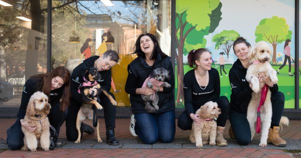 Local pooches digging Manuka's new doggy daycare
