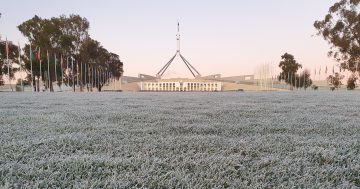 We're just not built for winter in Canberra