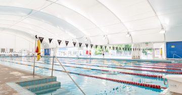 Labor to build new aquatic centre in Commonwealth Park next term