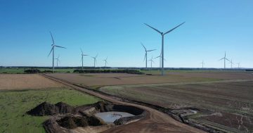 New wind farm to boost Canberra's renewable electricity supply