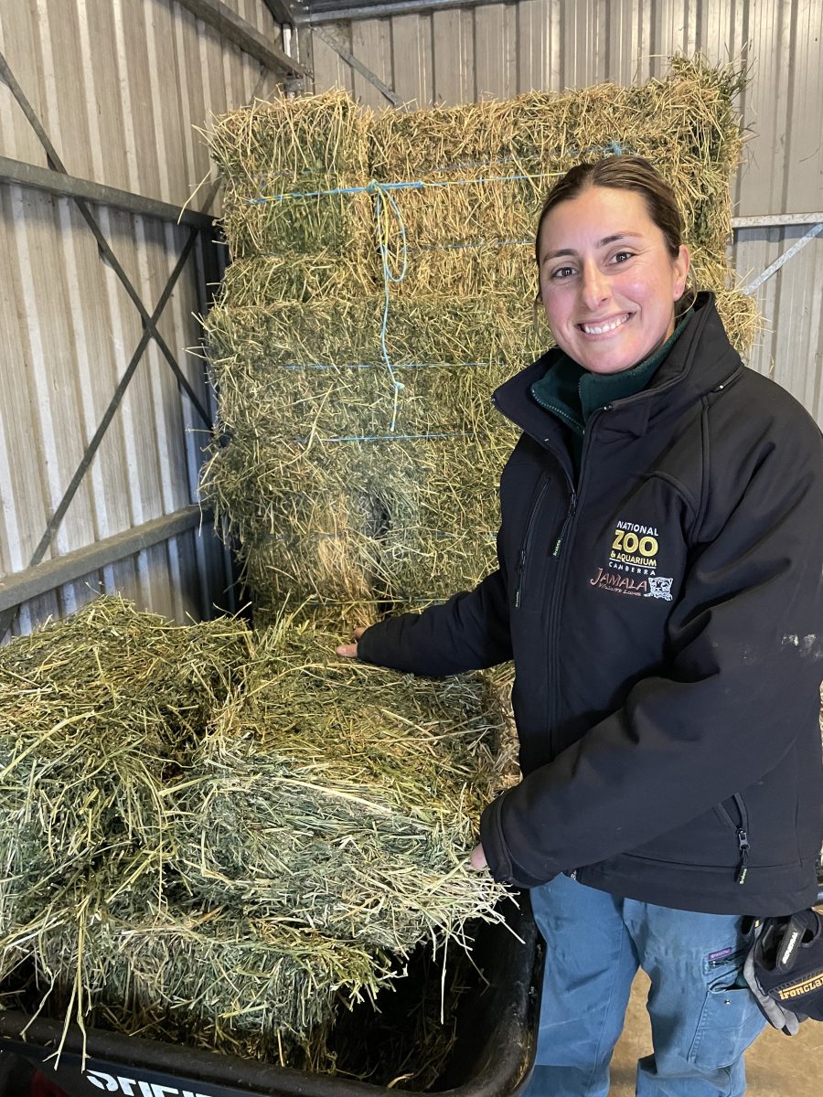 Woman with hay bales