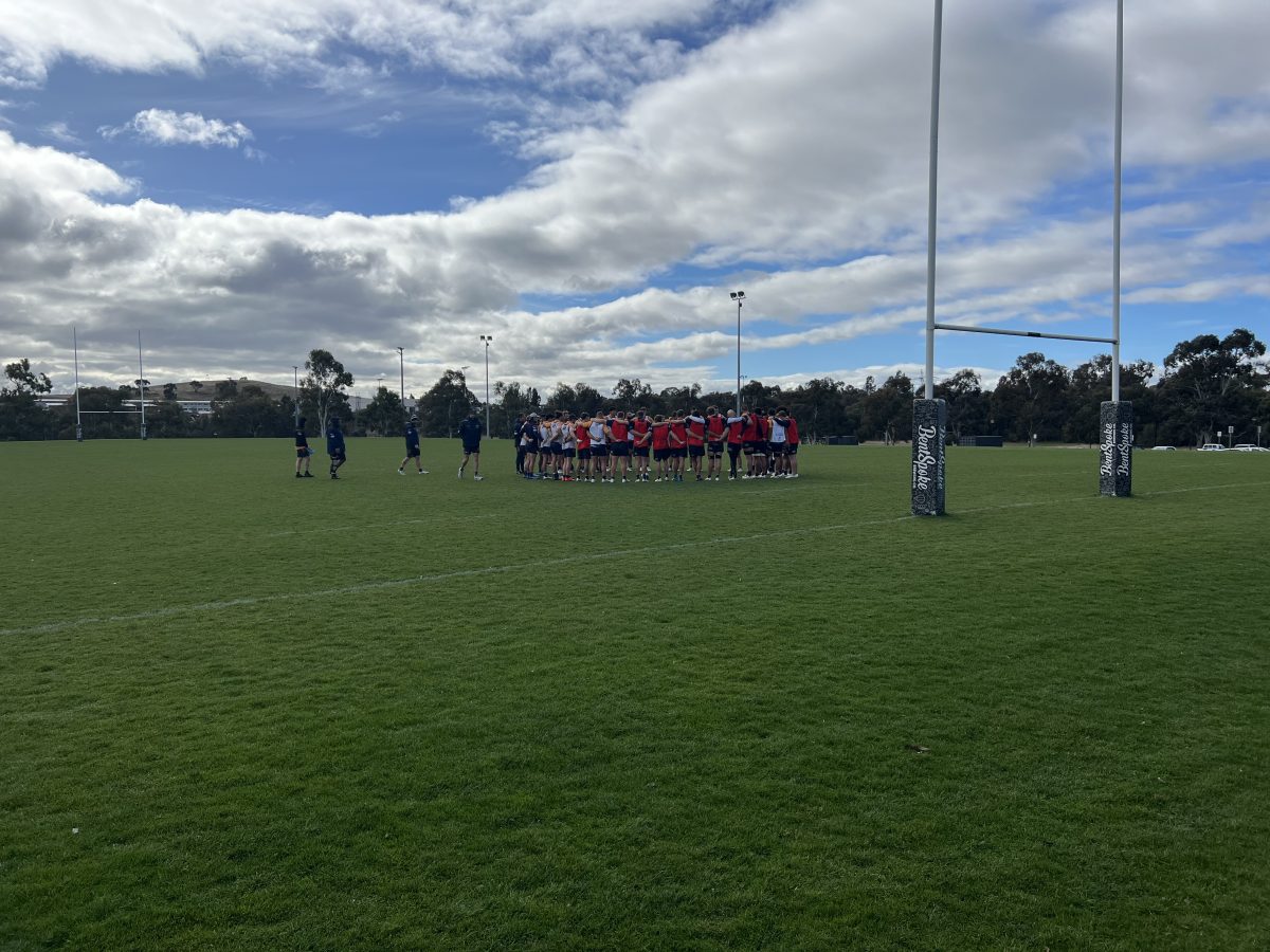 The Brumbies at training