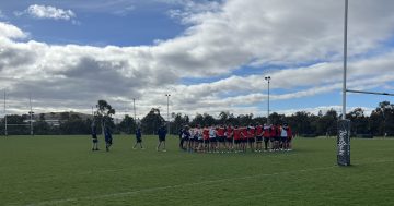 'We won’t be overawed': the Brumbies are ready to rewrite history in Hamilton against the Chiefs