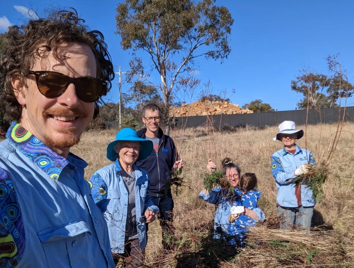 Ainslie Volcanics Weeders.