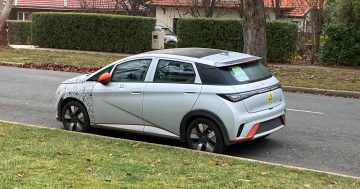 BYD testing car in Canberra ahead of launch of Australia's cheapest EV