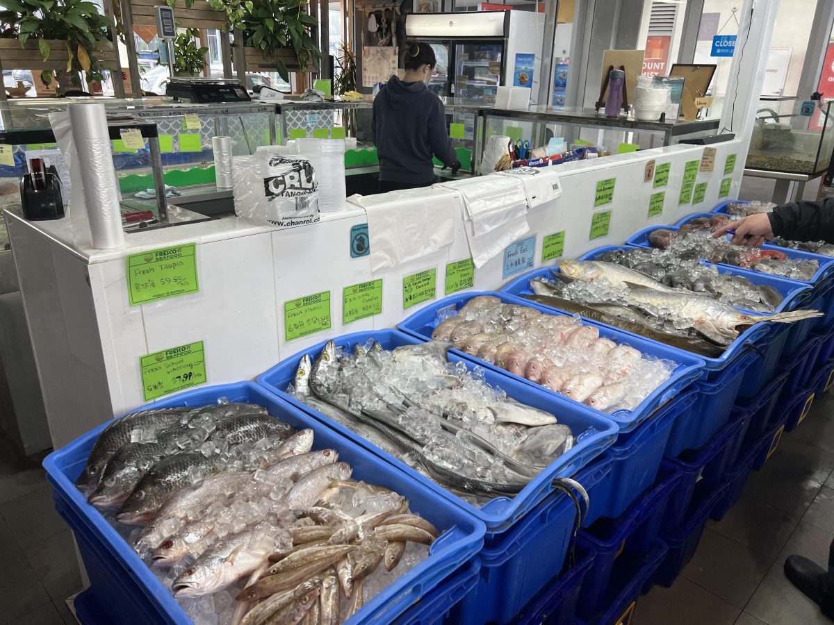 A fresh seafood section showing a variety of fish and an attendant