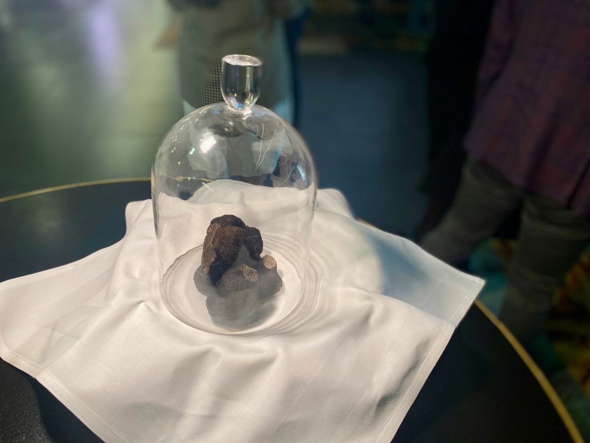 Truffles under glass cloche