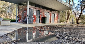 WATCH: Which public toilet block will take the throne as Canberra's best?