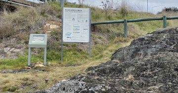 Here's why Canberra's Woolshed Creek made international news in the 1840s