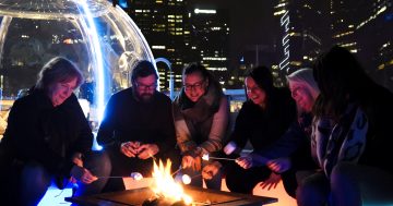 Things to do in Canberra this week (16 to 22 June)