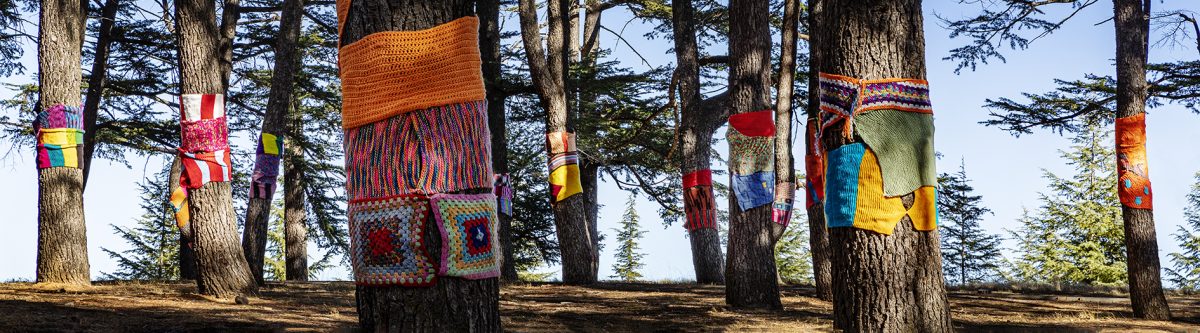 trees wrapped in knitting