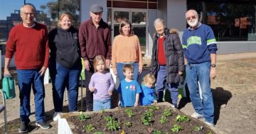 'Dementia is not scary': big message behind little community garden in Tuggeranong