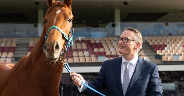 New era for Canberra Racing Club with multi-year partnership announcement