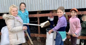 Gunning Gold: Helping kids and getting Canberra gardens growing
