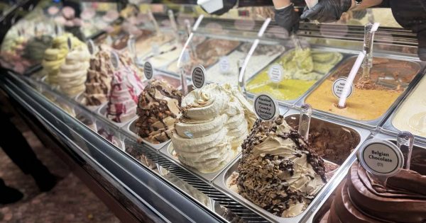 There is a new dairy queen in town: Anita Gelato!