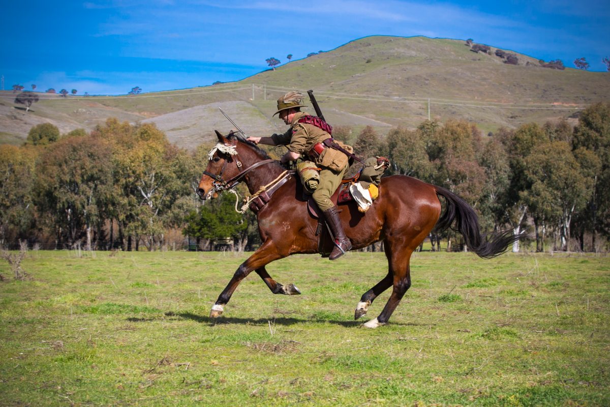 man riding horse in WWI outfit