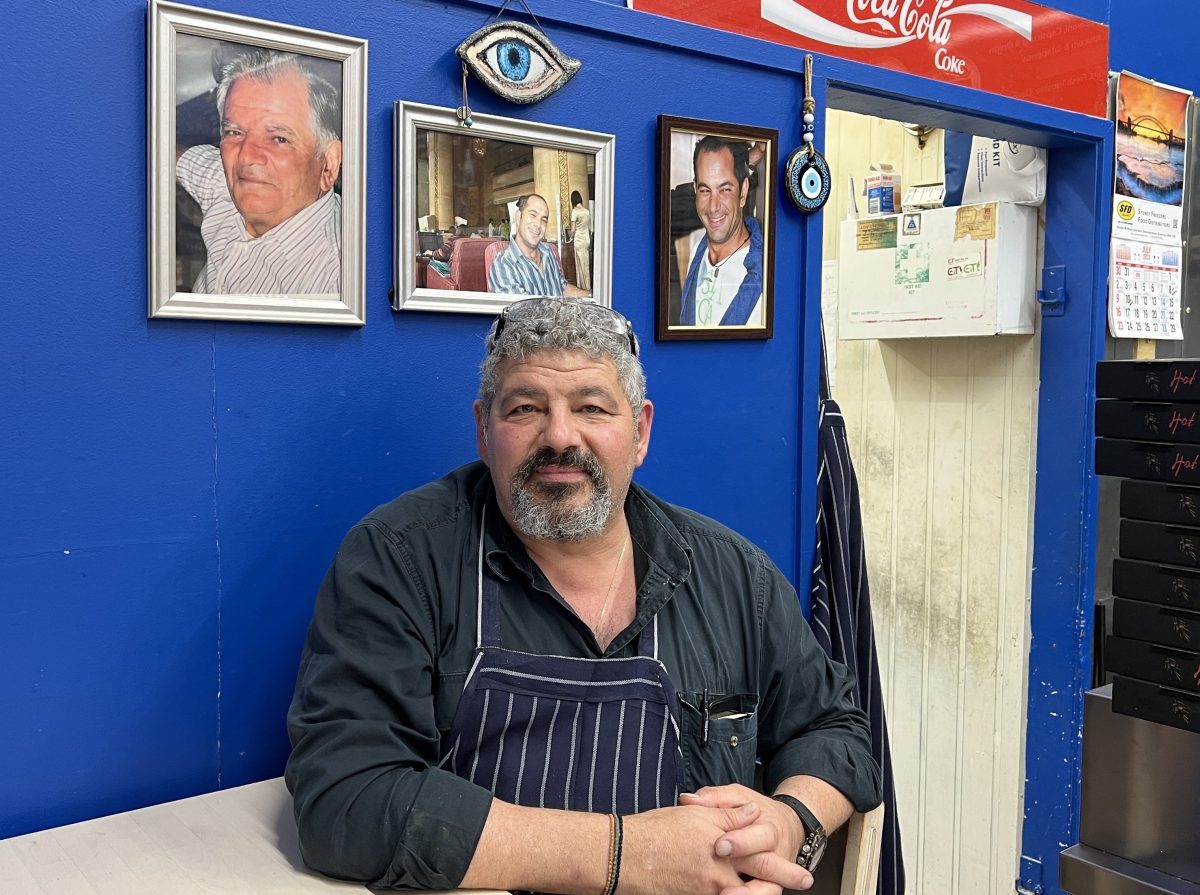 Kon sitting on a table with photos above him on a blue wall.