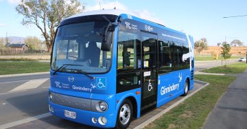 Little blue buses prove big hit as Capital region's green community grows