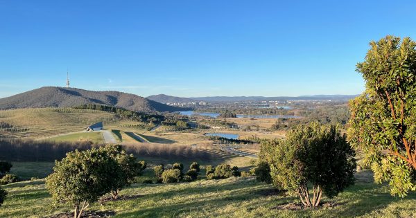 Canberra on track for warmest July maximum temperatures on record