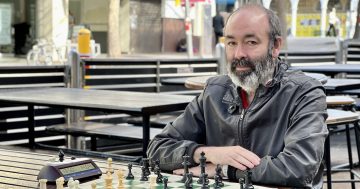 'More popular than it's ever been': why chess is still champion in Canberra