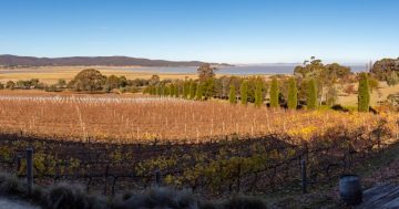 Lerida Estate poised to put local wine districts on global map